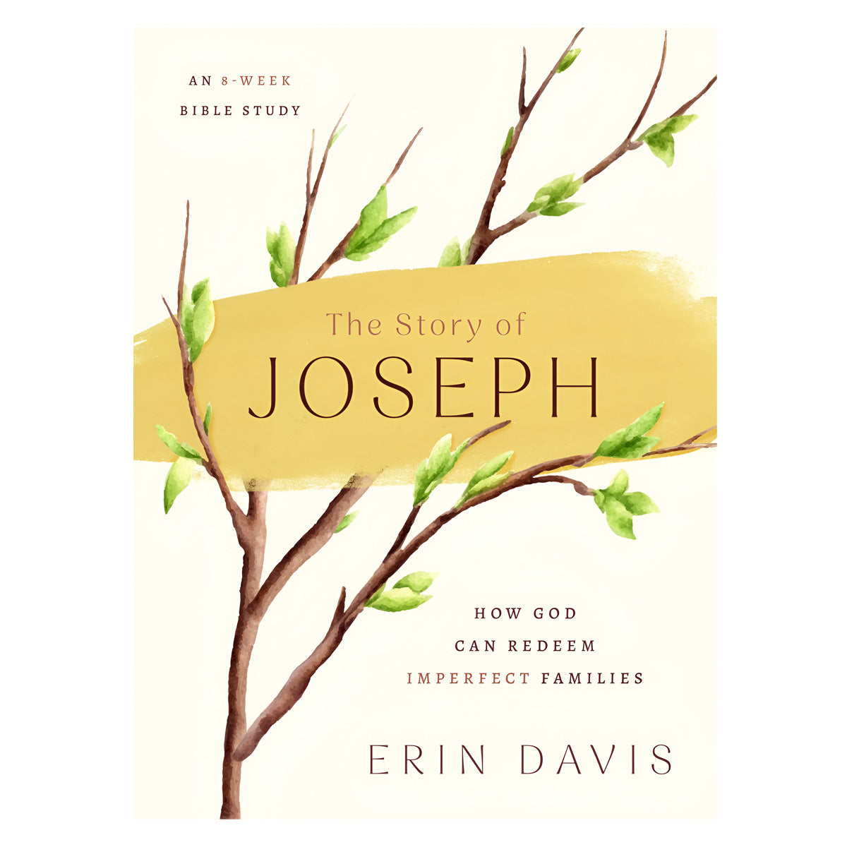 The Story of Joseph: How God Can Redeem Imperfect Families Bible Study (Paperback)