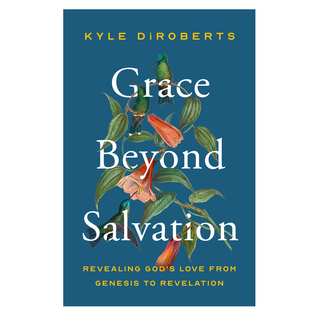 Grace Beyond Salvation: Revealing God's Love from Genesis to Revelation (Paperback)