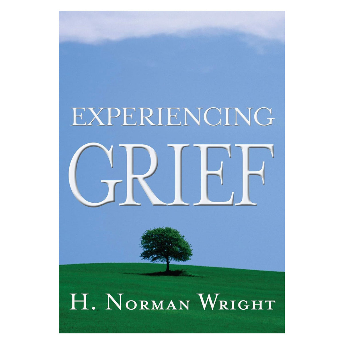 Experiencing Grief (Paperback)