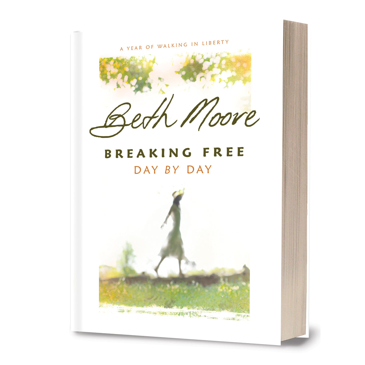 Breaking Free Day By Day (Hardcover)