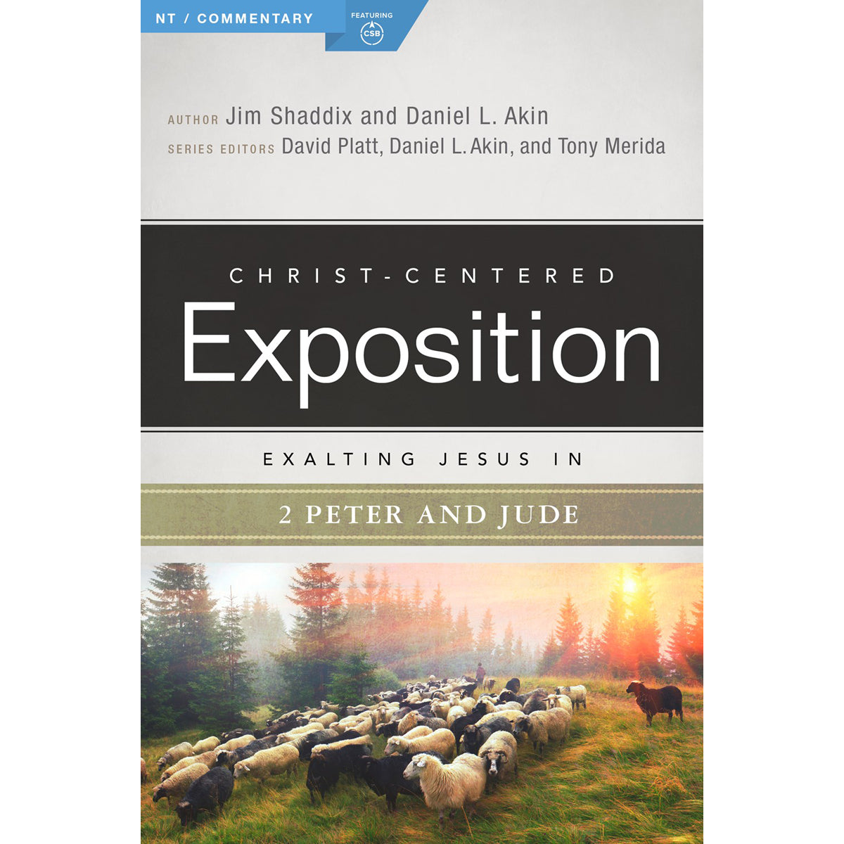 Exalting Jesus In 2 Peter & Jude (Paperback)