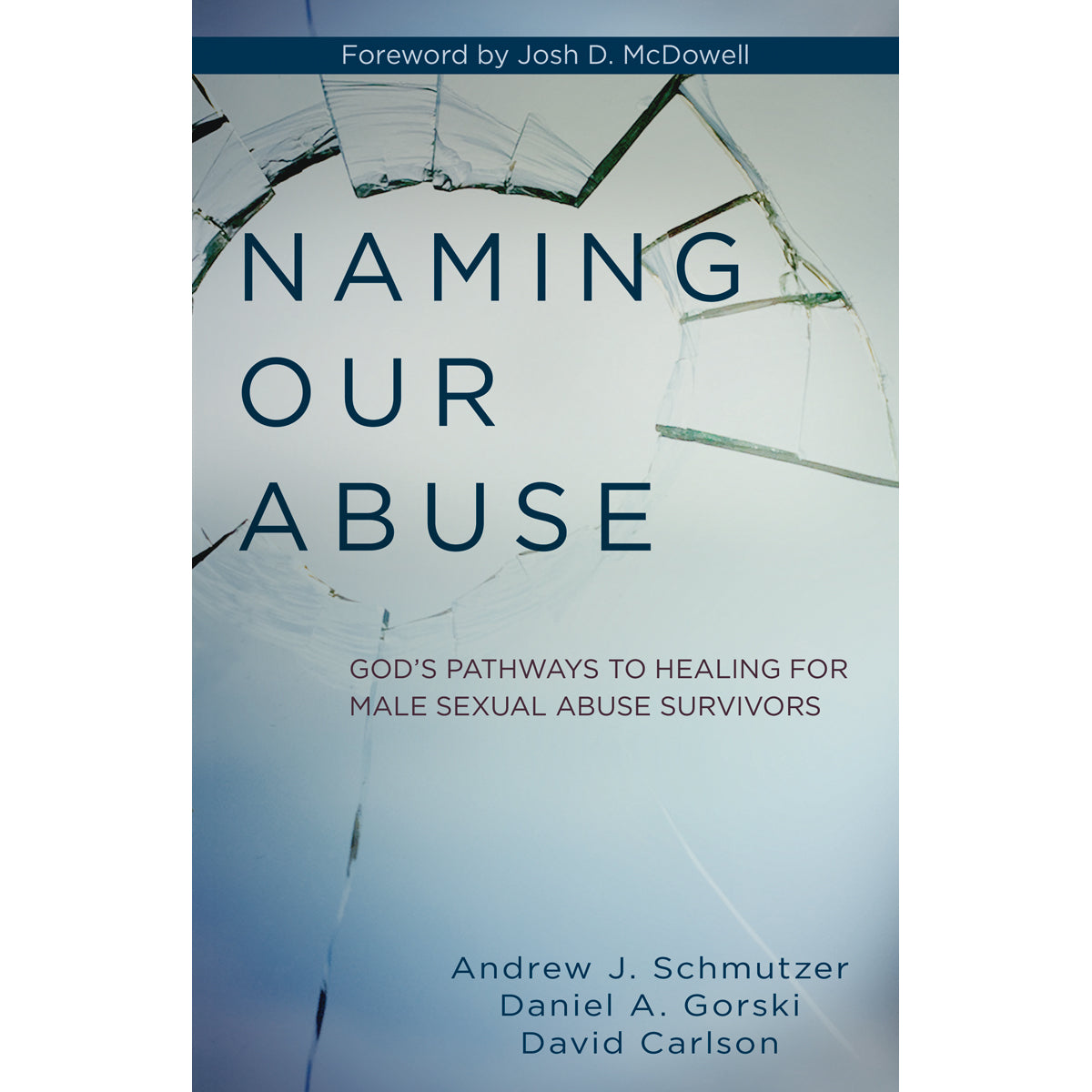 Naming Our Abuse (Paperback)