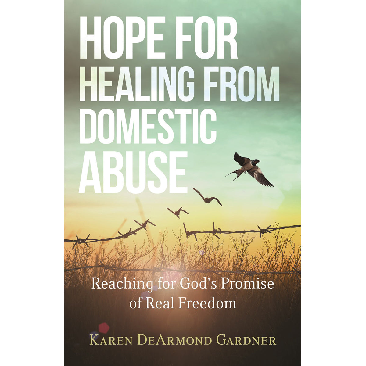 Hope For Healing From Domestic Abuse: Reaching For God's Promise Of Real Freedom (Paperback)