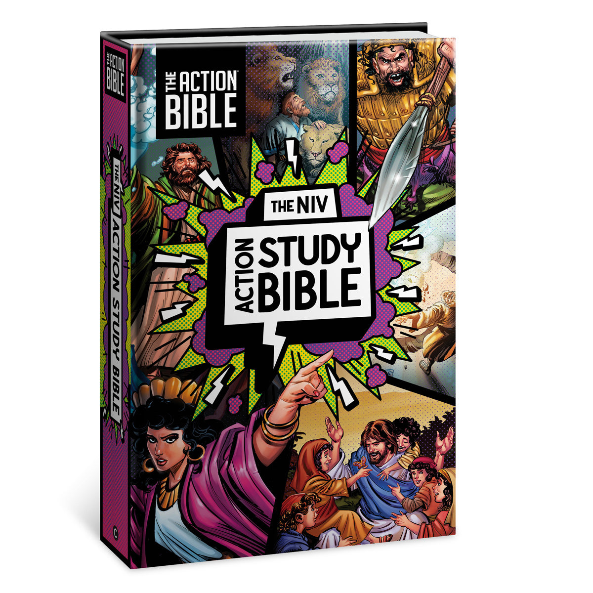 NIV Hardcover Full Color Action Study Bible