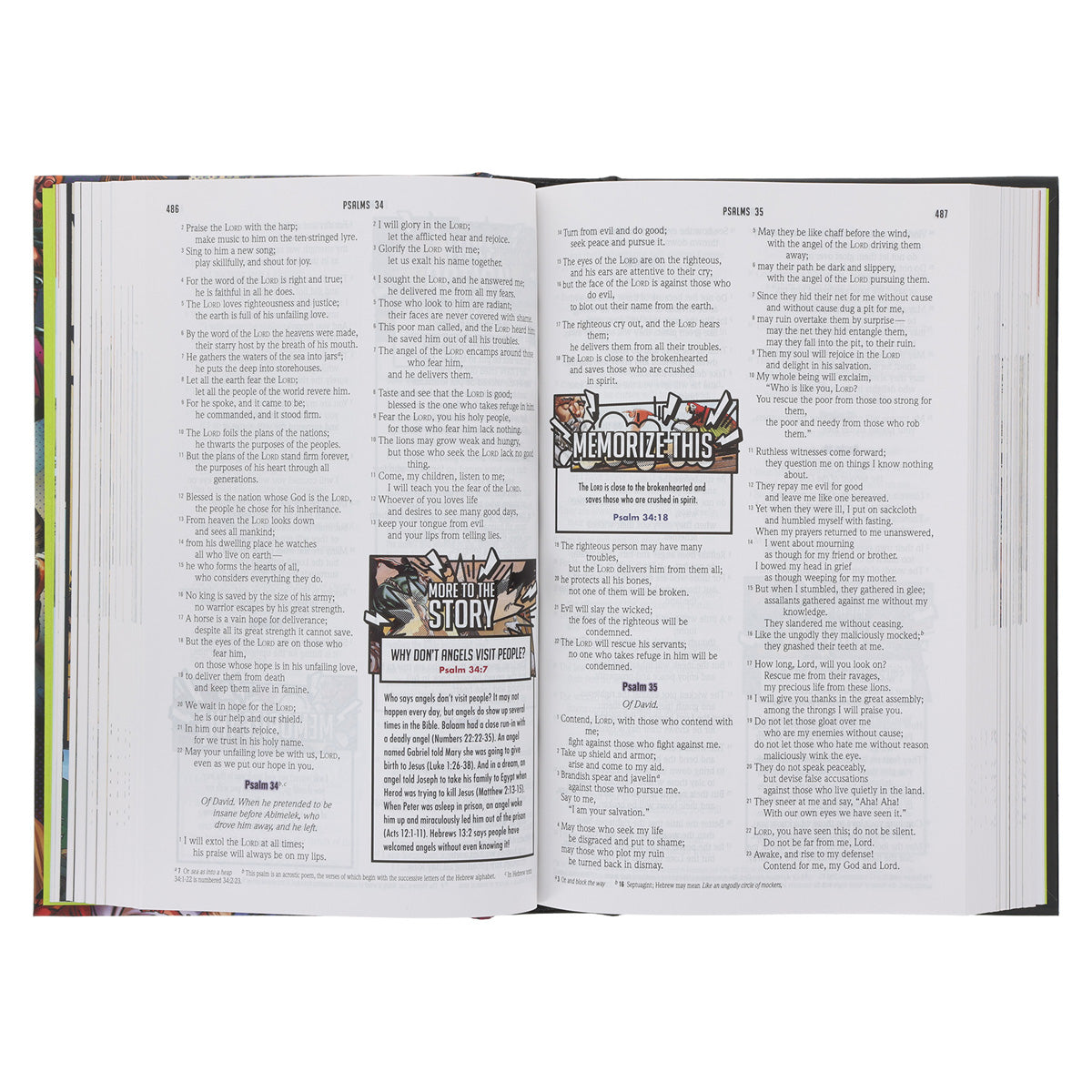 NIV Hardcover Full Color Action Study Bible
