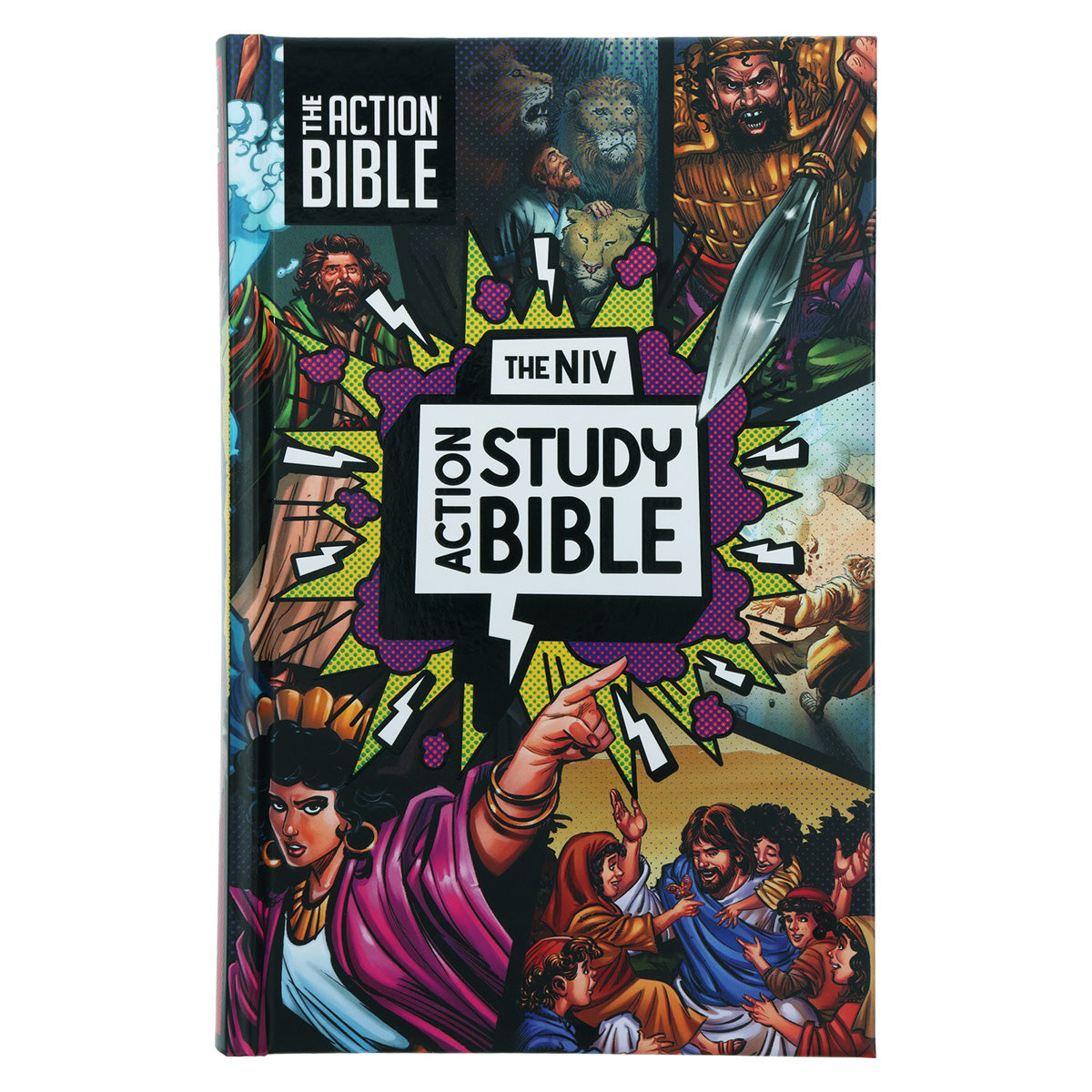 NIV Hardcover Full Color Action Study Bible