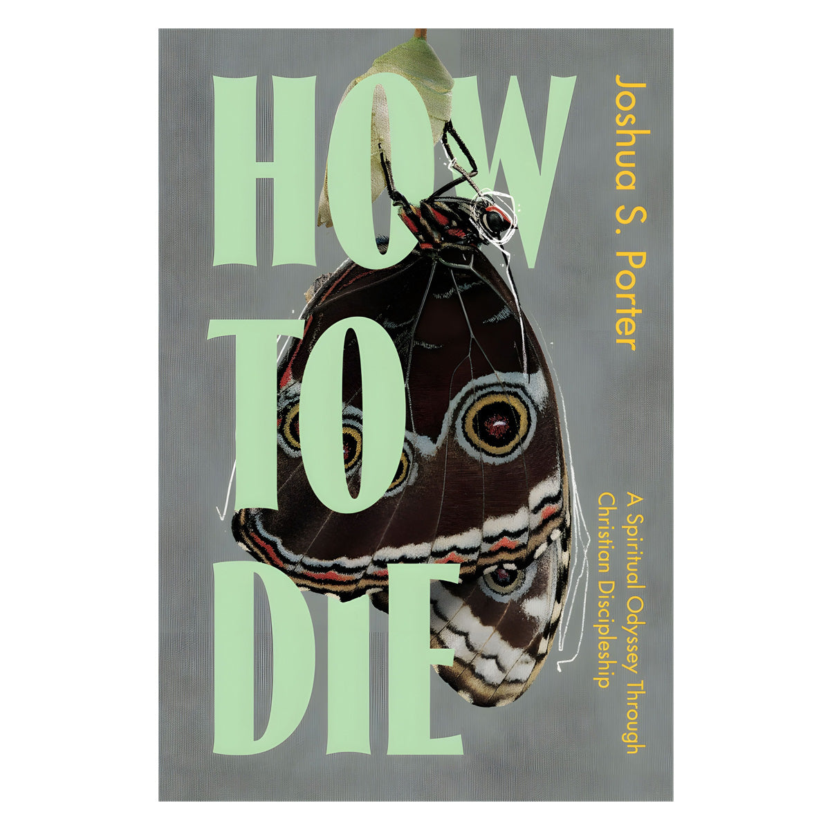 How to Die: A Spiritual Odyssey Through Christian Discipleship (Paperback)