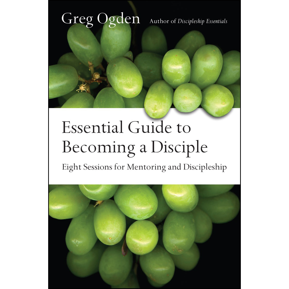 Essential Guide To Becoming A Disciple (Paperback)