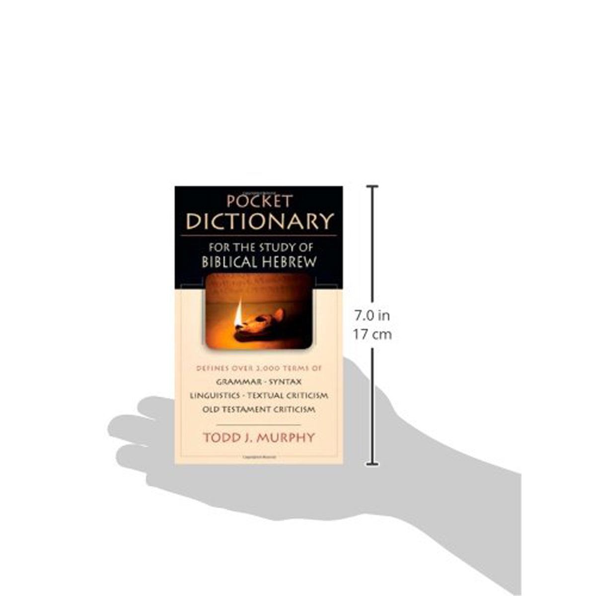 Pocket Dictionary For The Study Of Biblical Hebrew (The IVP Pocket Reference)(Paperback)