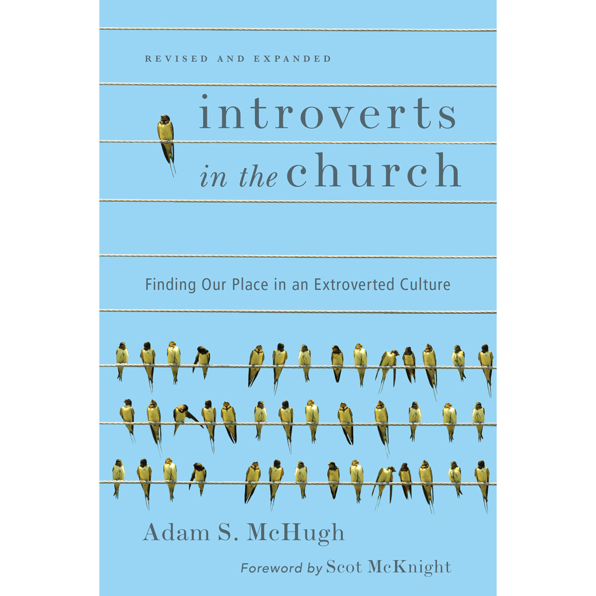 Introverts In The Church, Revised And Expanded Edition (Paperback)