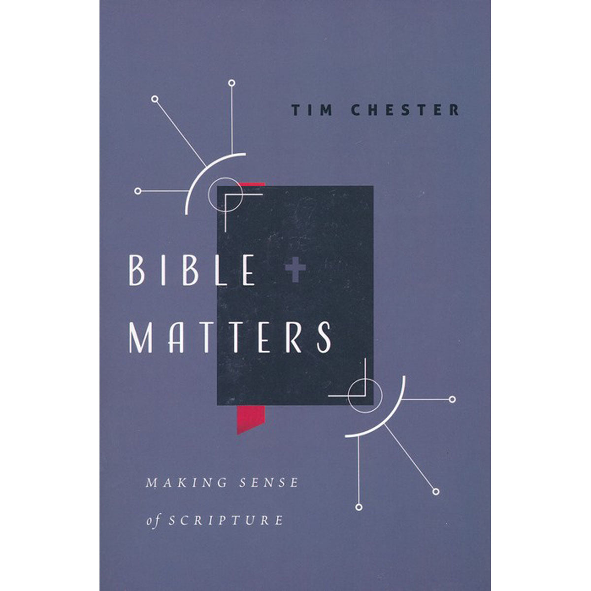 Bible Matters (Paperback)