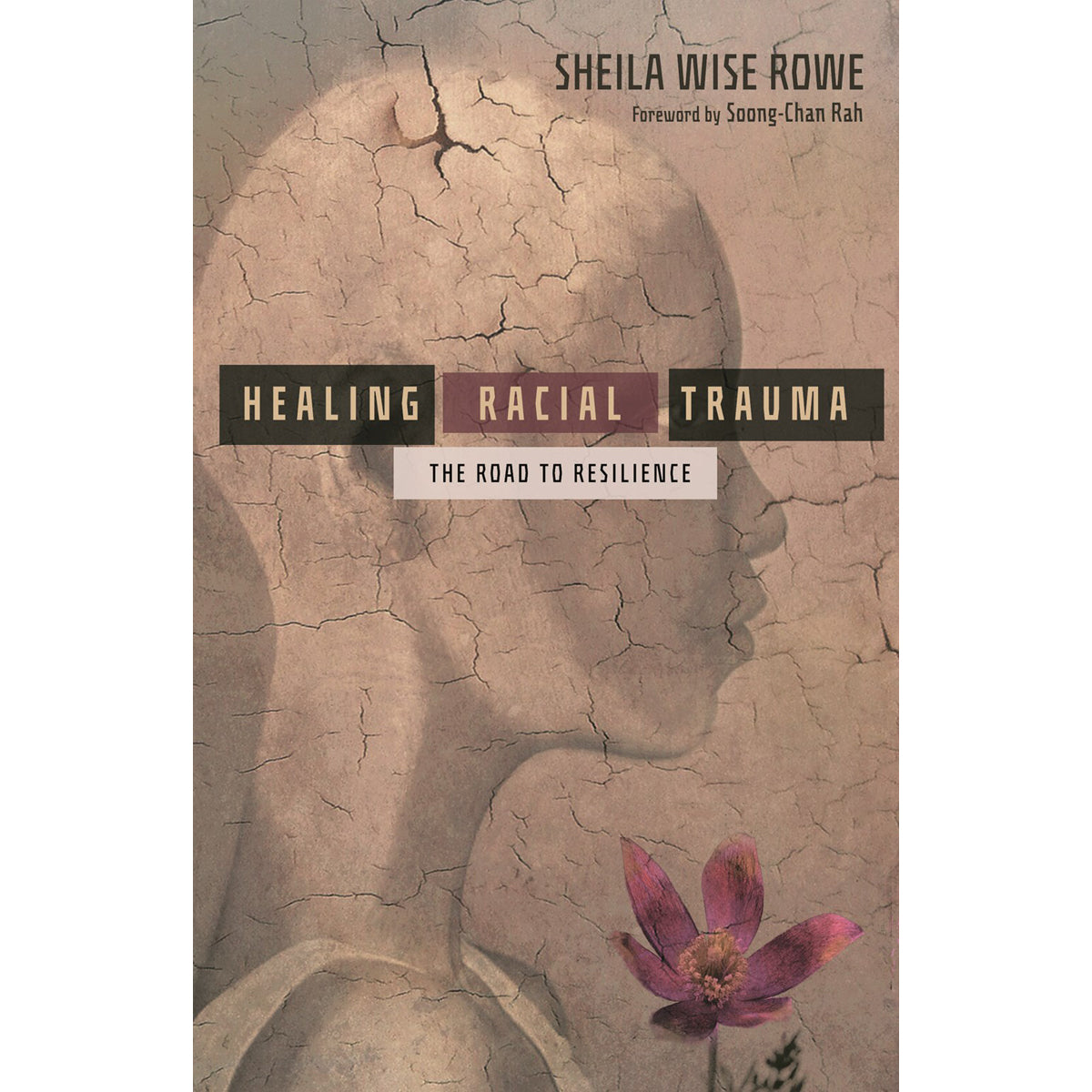 Healing Racial Trauma: The Road To Resilience (Paperback)