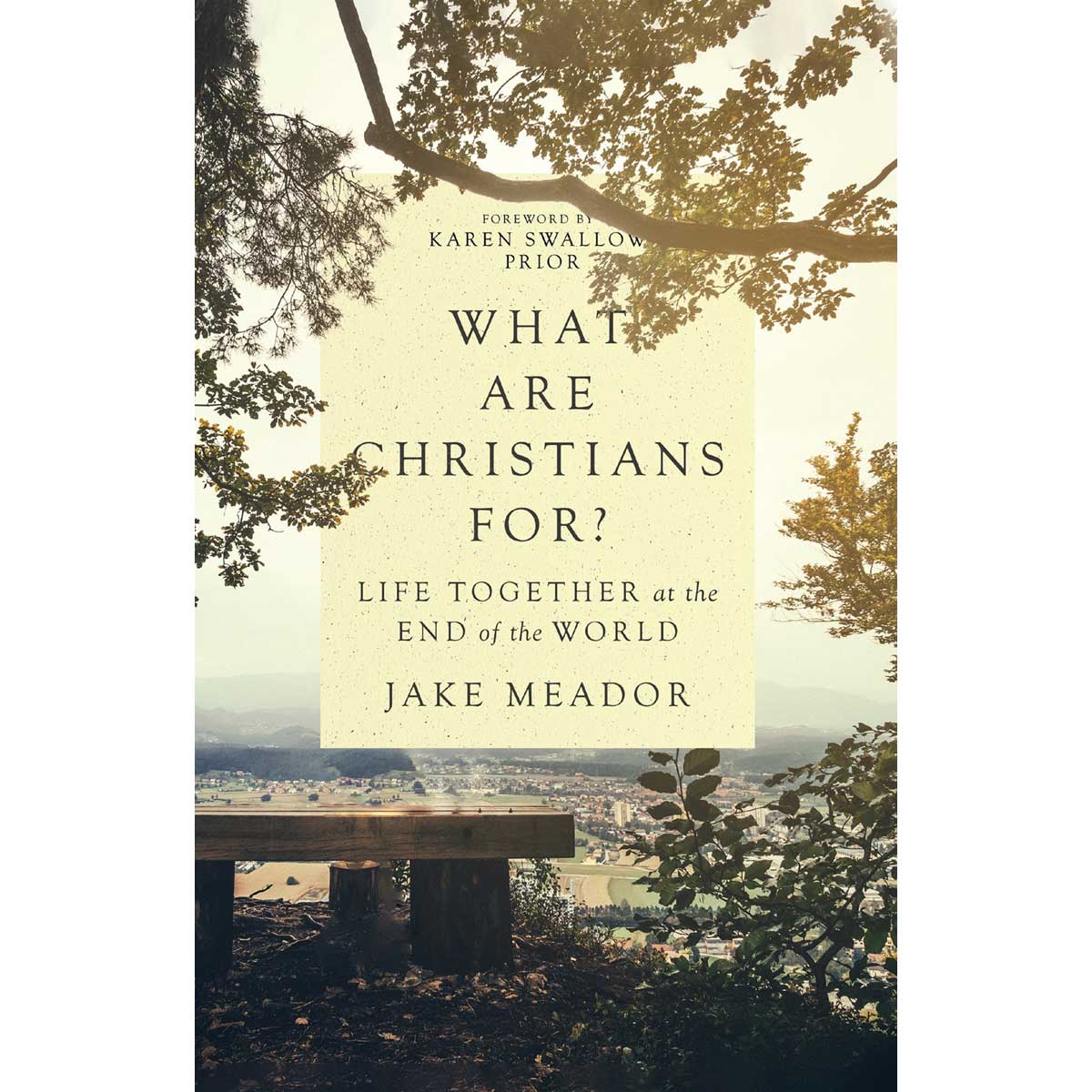 What Are Christians For?: Life Together At The End Of The World (Hardcover)