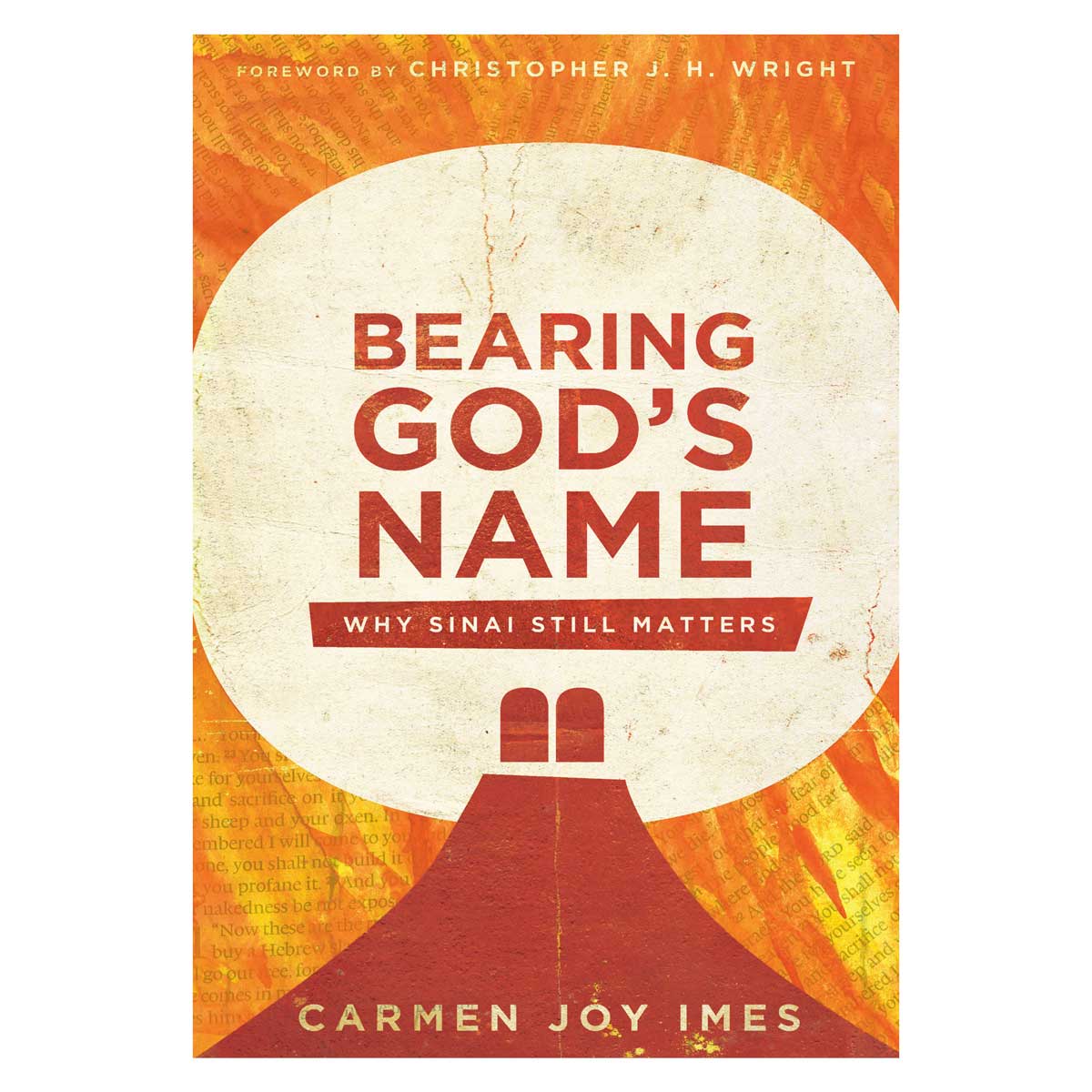 Bearing God's Name: Why Sinai Still Matters (Paperback)