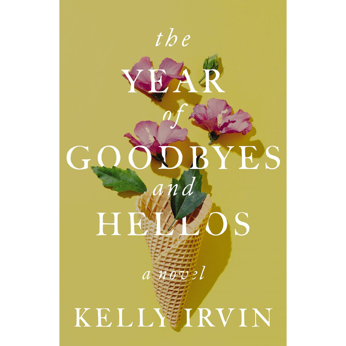 The Year of Goodbyes and Hellos: A Novel (Paperback)