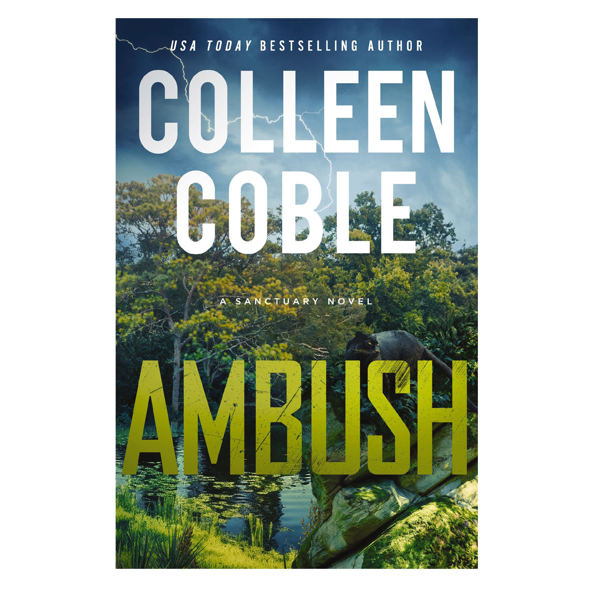 Ambush - 1 Sanctuary (Paperback)