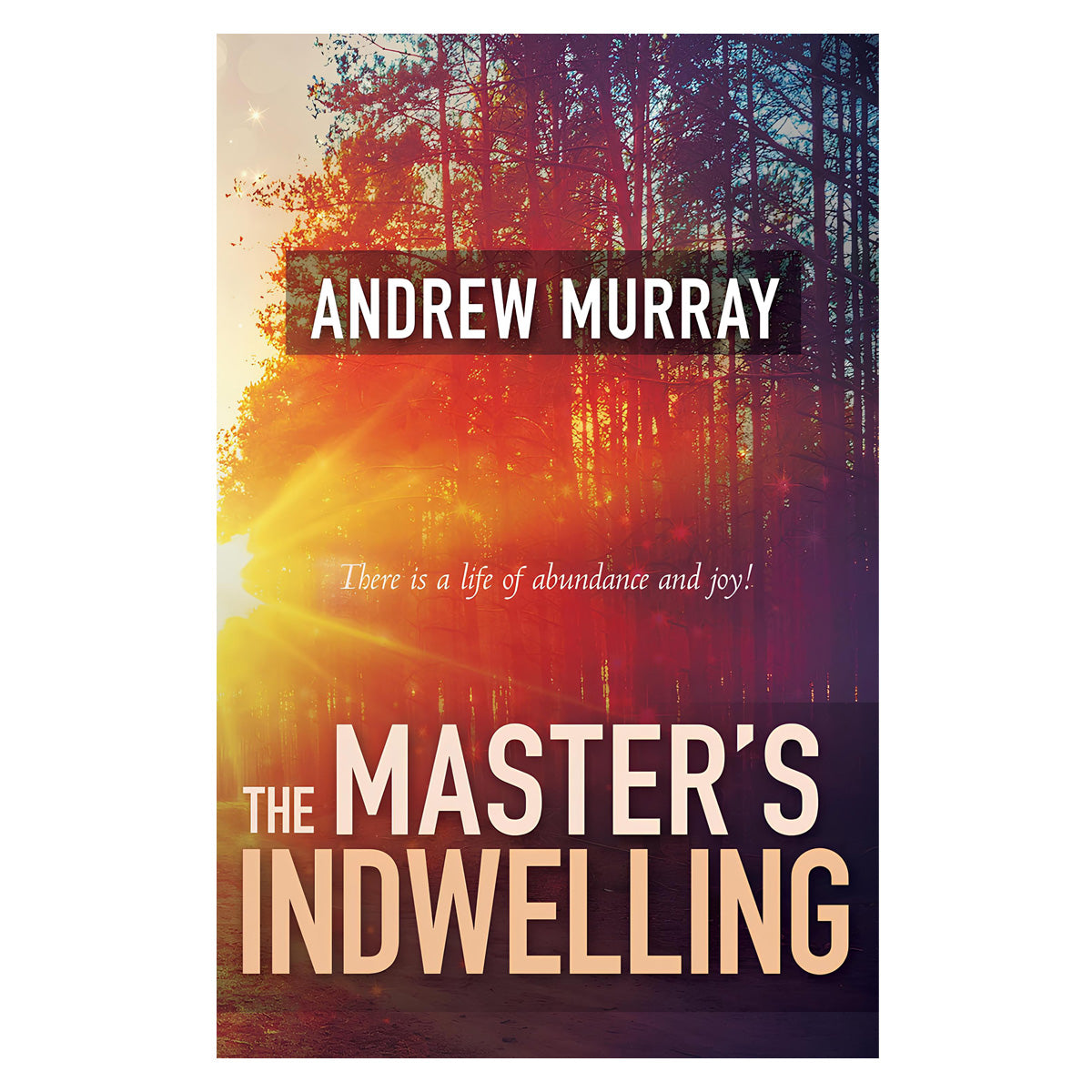 The Master's Indwelling: There Is A Life of Abundance and Joy! (Paperback)