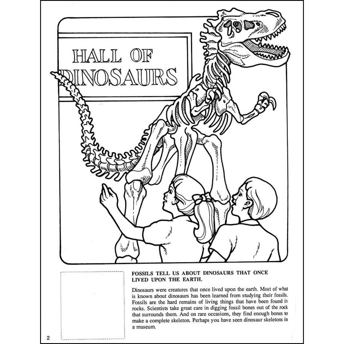 God Created The Dinosaurs (Paperback)