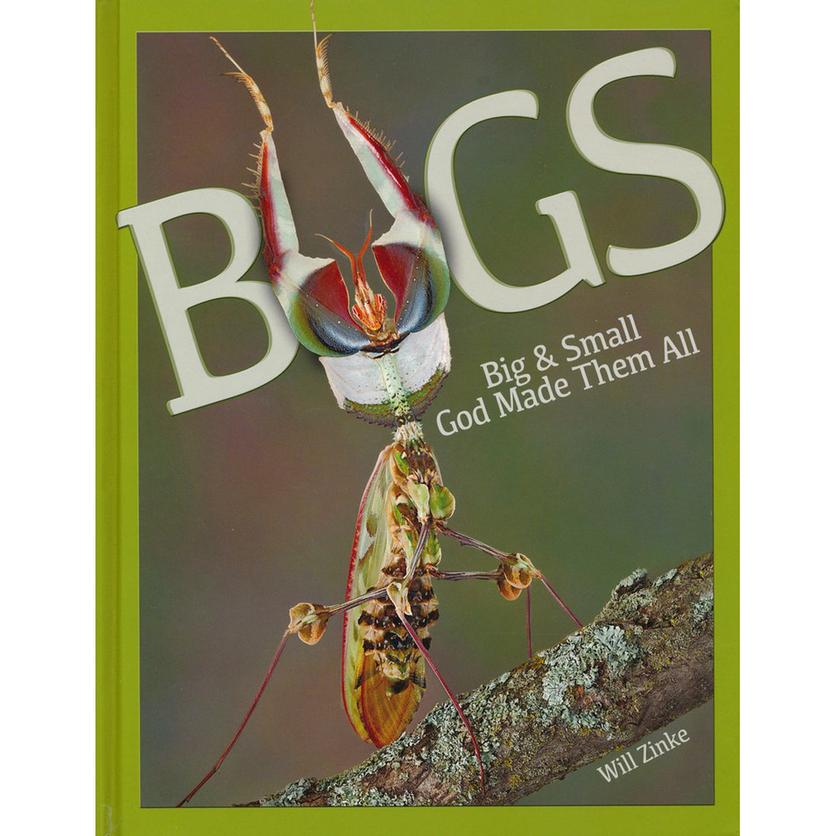 Bugs: Big And Small God Made Them All (Hardcover)