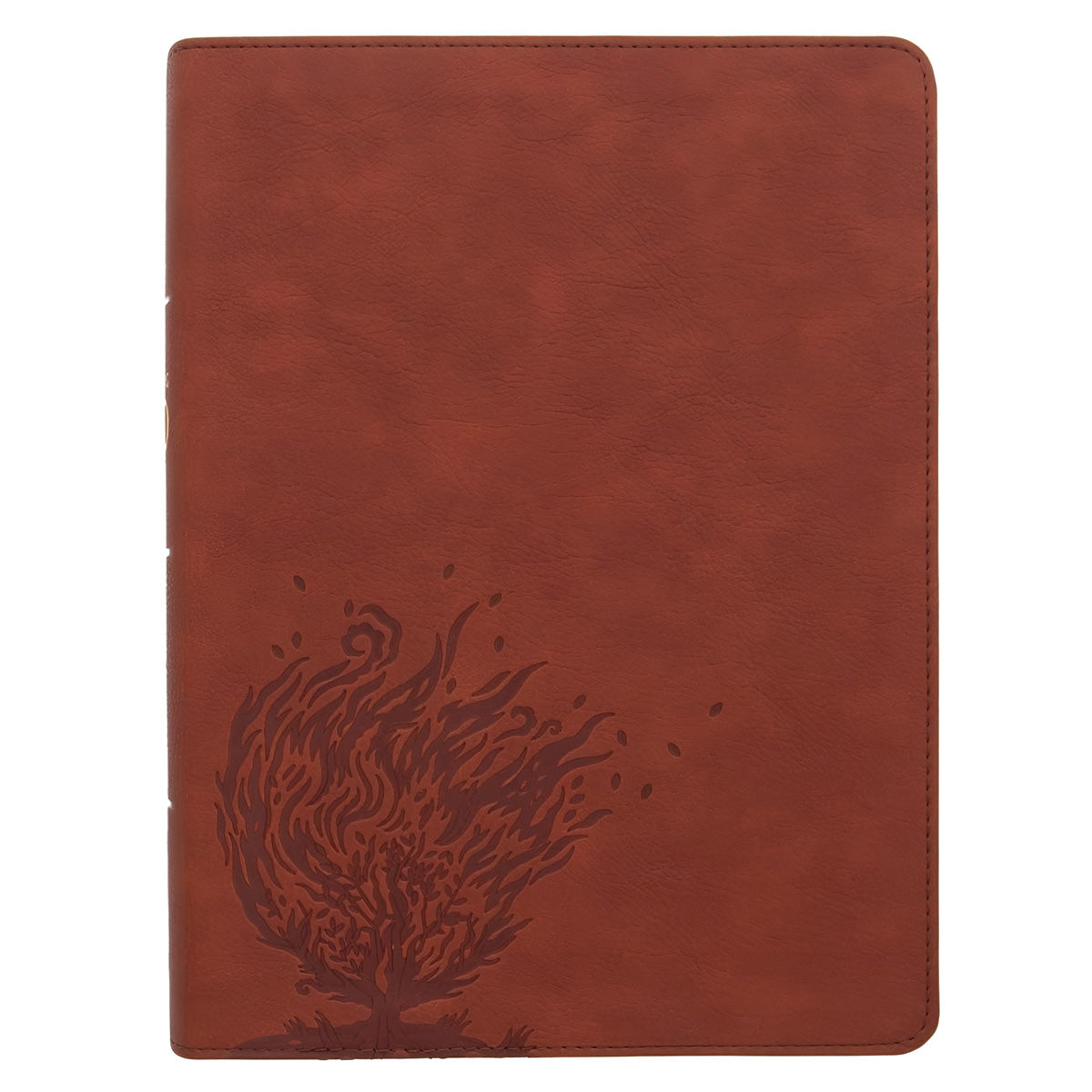 CSB Experiencing God Bible Burnt Sienna (Imitation Leather)