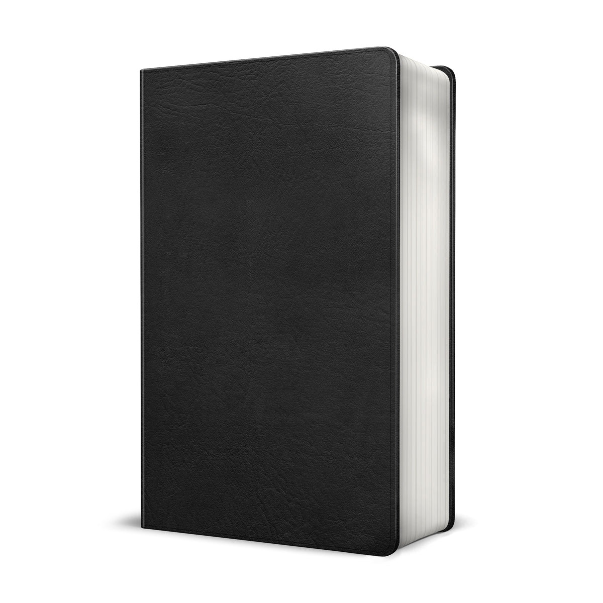 KJV Pastor's Bible Black (Imitation Leather)