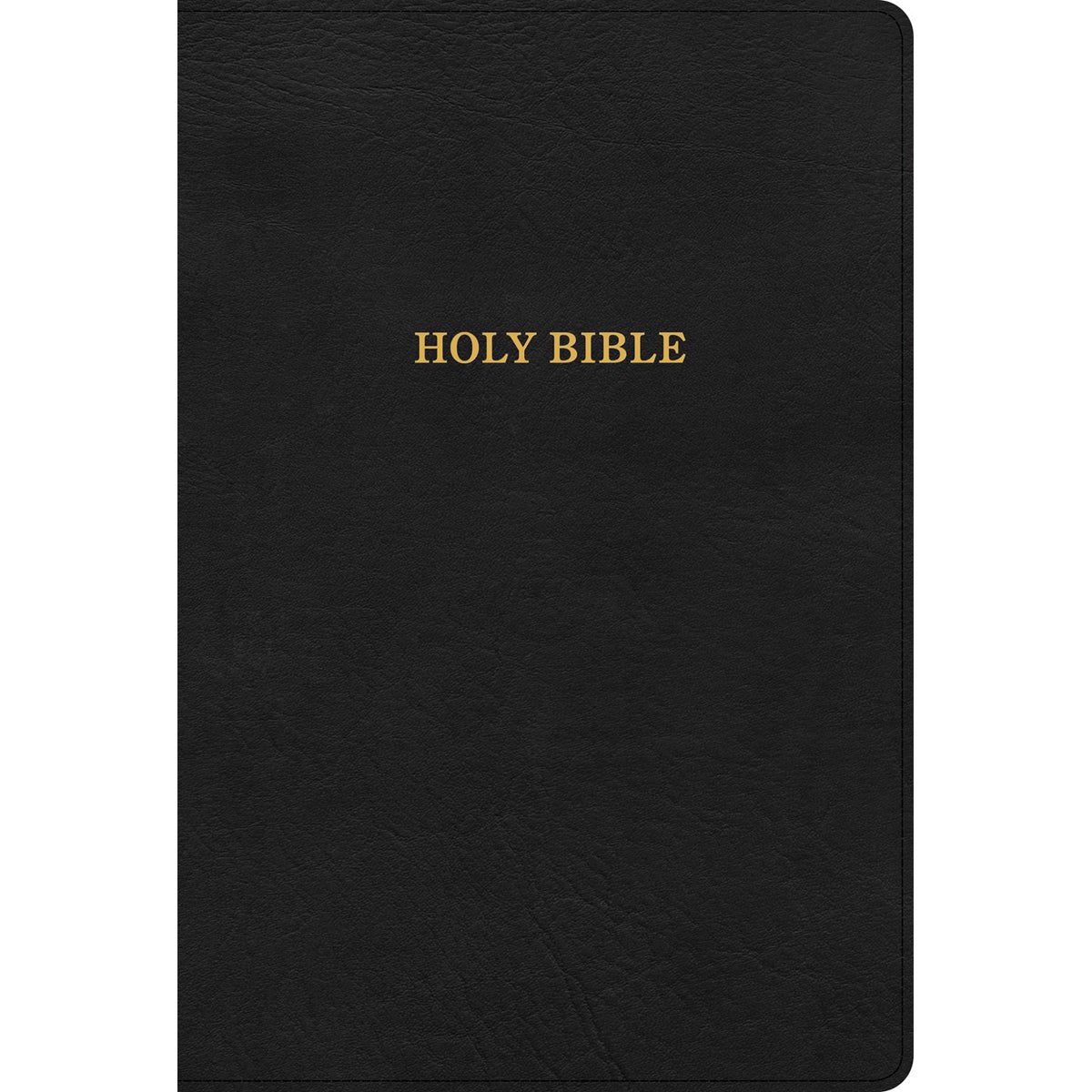 KJV Thinline Bible Large Print Black (Imitation Leather)