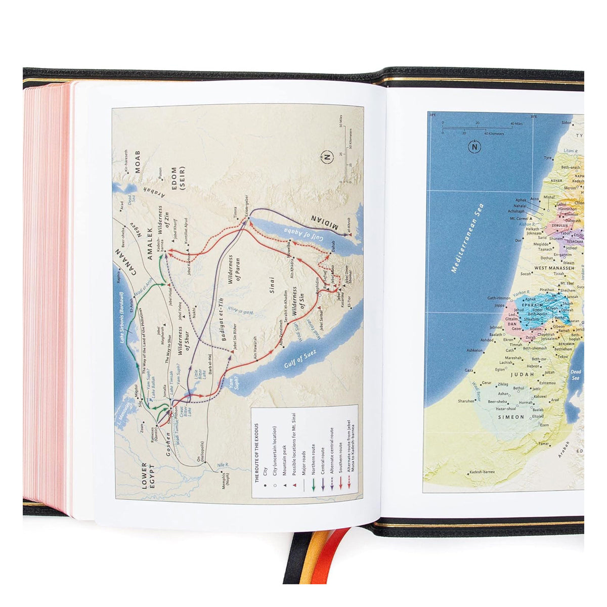 CSB Single Column Wide Margin Bible Goatskin Black (Handcrafted Collection)(Genuine Leather)