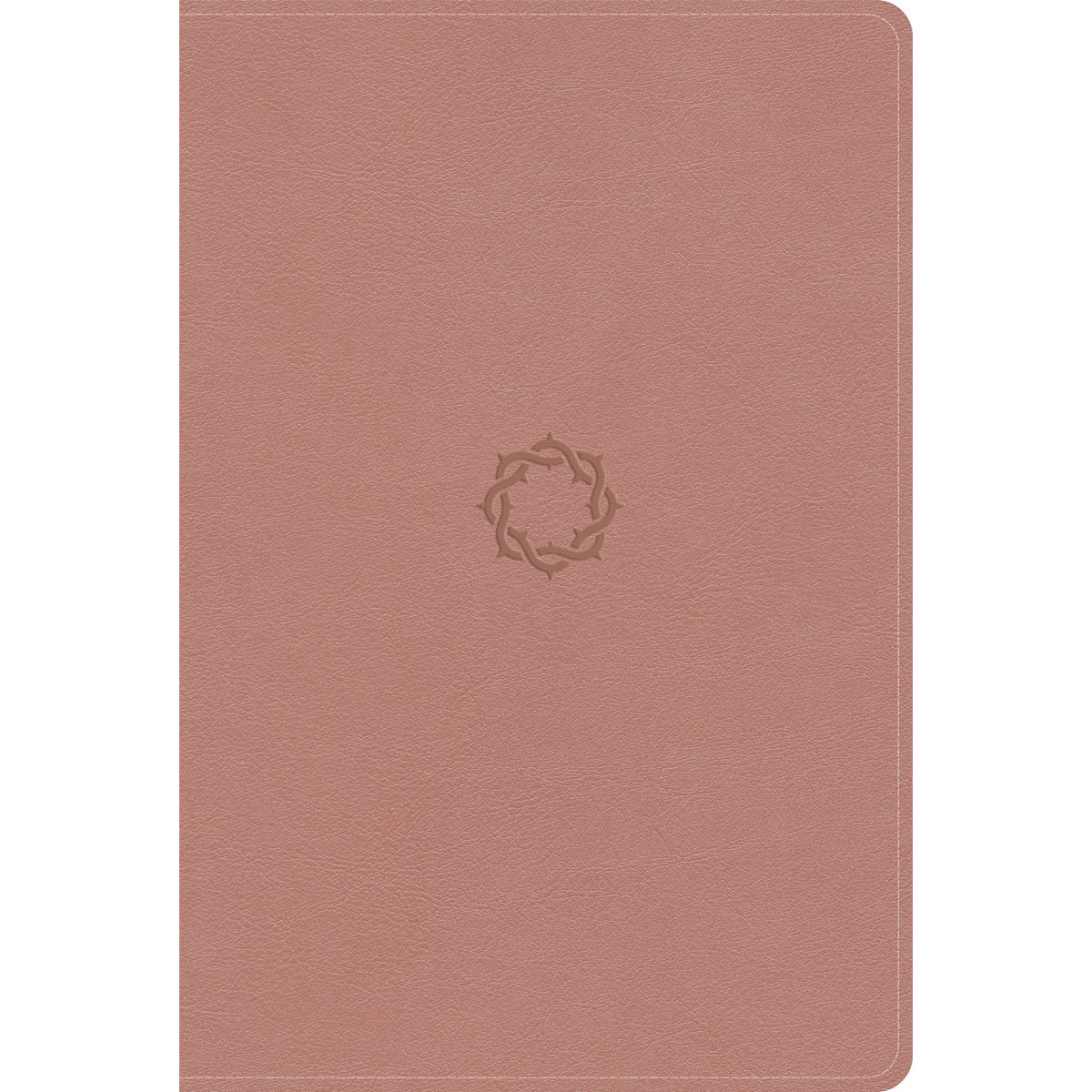 KJV Rose Gold Imitation Leather Essential Teen Study Bible