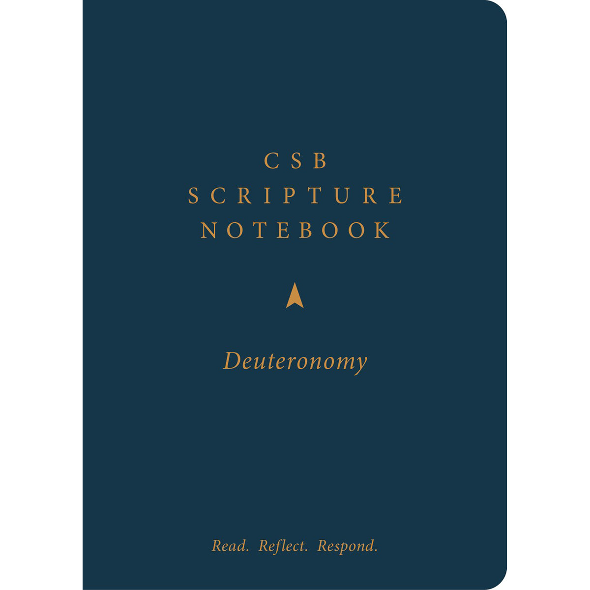 CSB Scripture Notebook Deuteronomy: Read Reflect Respond (Paperback)