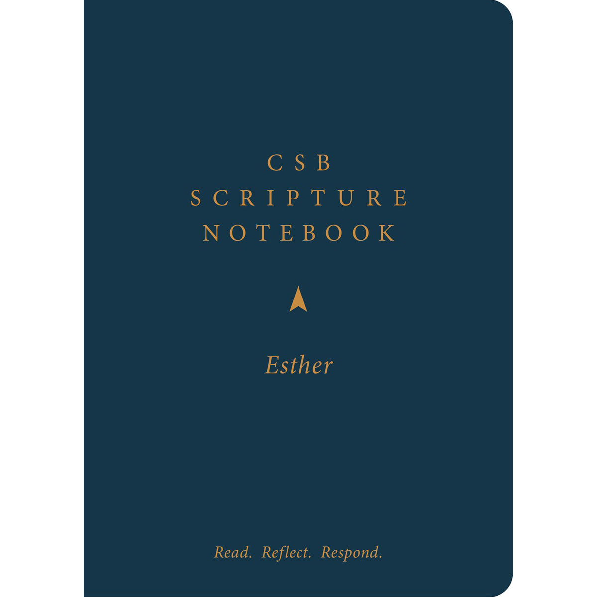CSB Scripture Notebook Esther: Read Reflect Respond (Paperback)