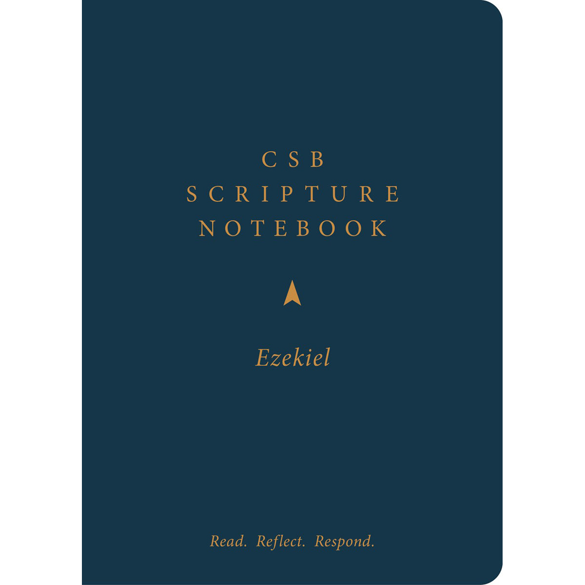 CSB Scripture Notebook Ezekiel: Read Reflect Respond (Paperback)