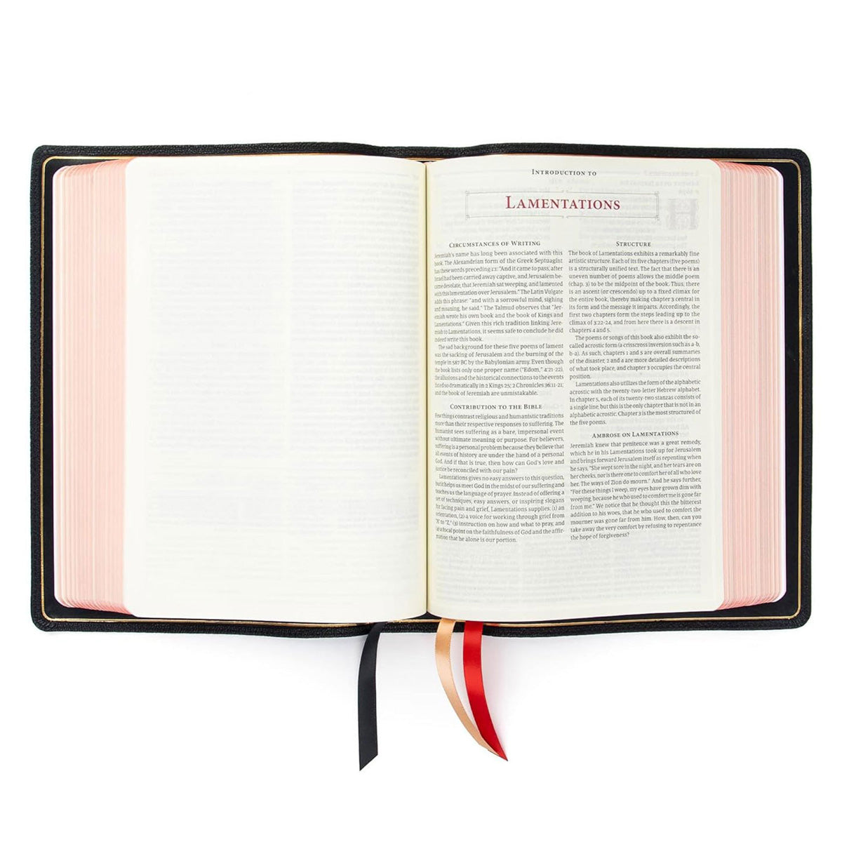 CSB Ancient Faith Study Bible Goatskin Black (Handcrafted Collection)(Genuine Leather)