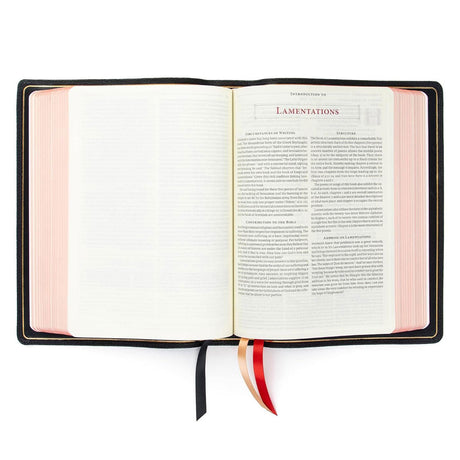CSB Ancient Faith Study Bible Goatskin Black (Handcrafted Collection)(Genuine Leather)
