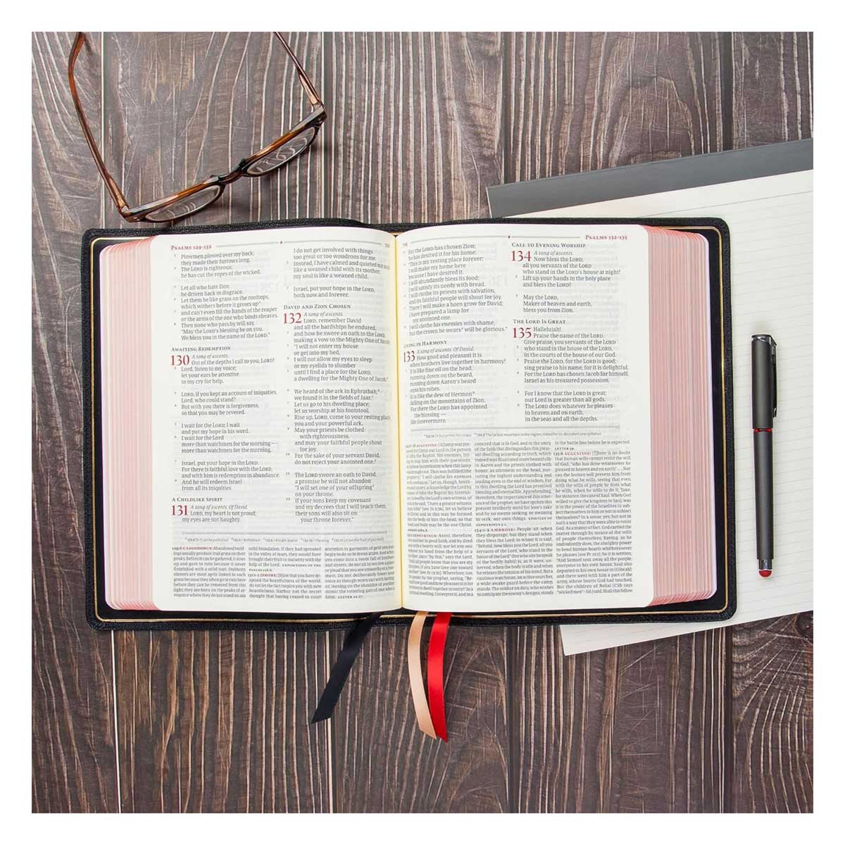 CSB Ancient Faith Study Bible Goatskin Black (Handcrafted Collection)(Genuine Leather)