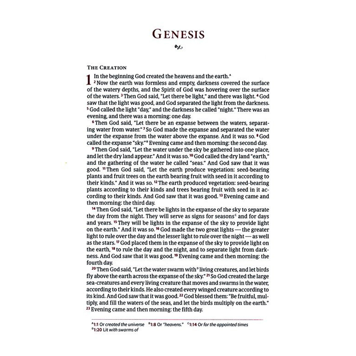 CSB Single Column Wide Margin Bible Brown (Imitation Leather)