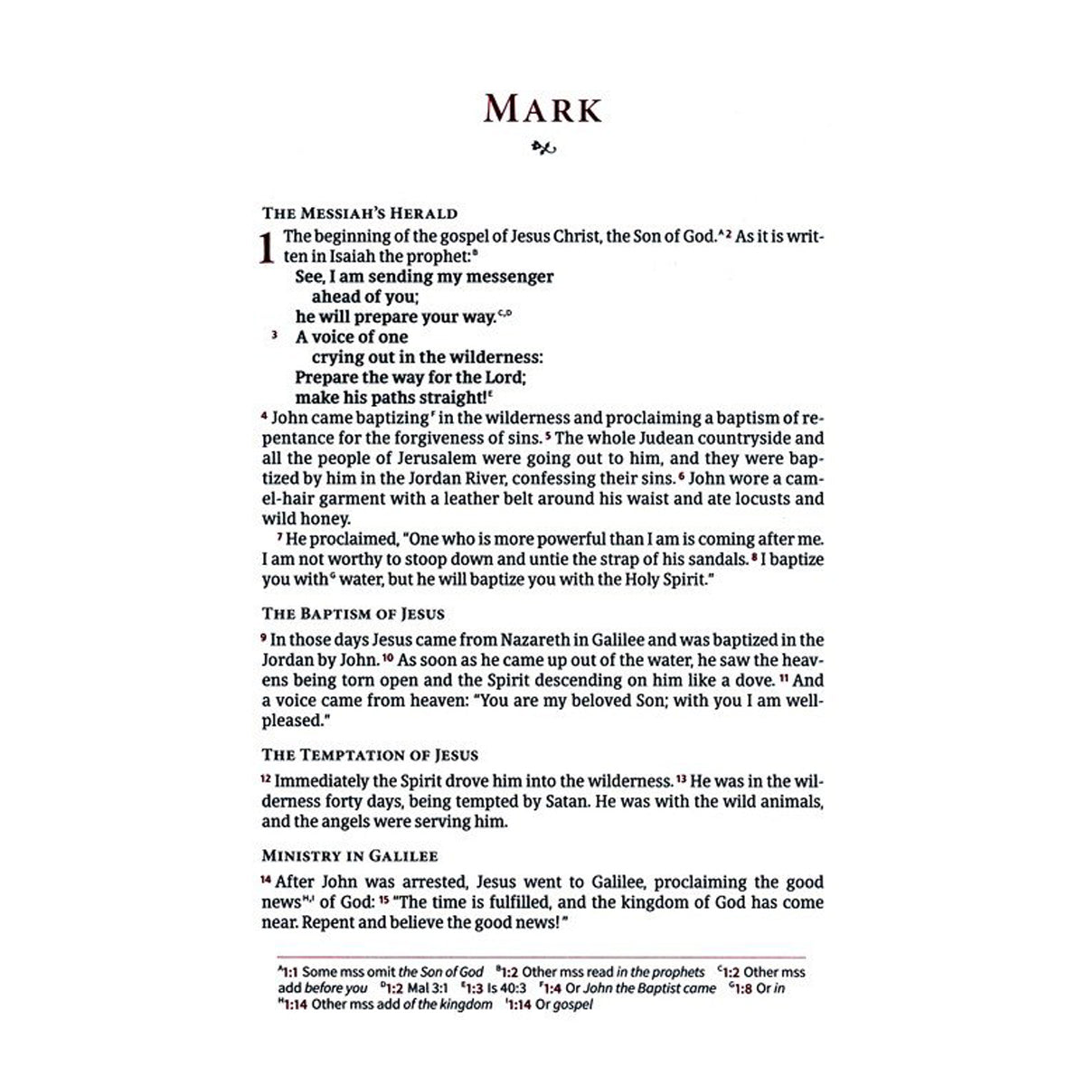 CSB Single Column Wide Margin Bible Brown (Imitation Leather)
