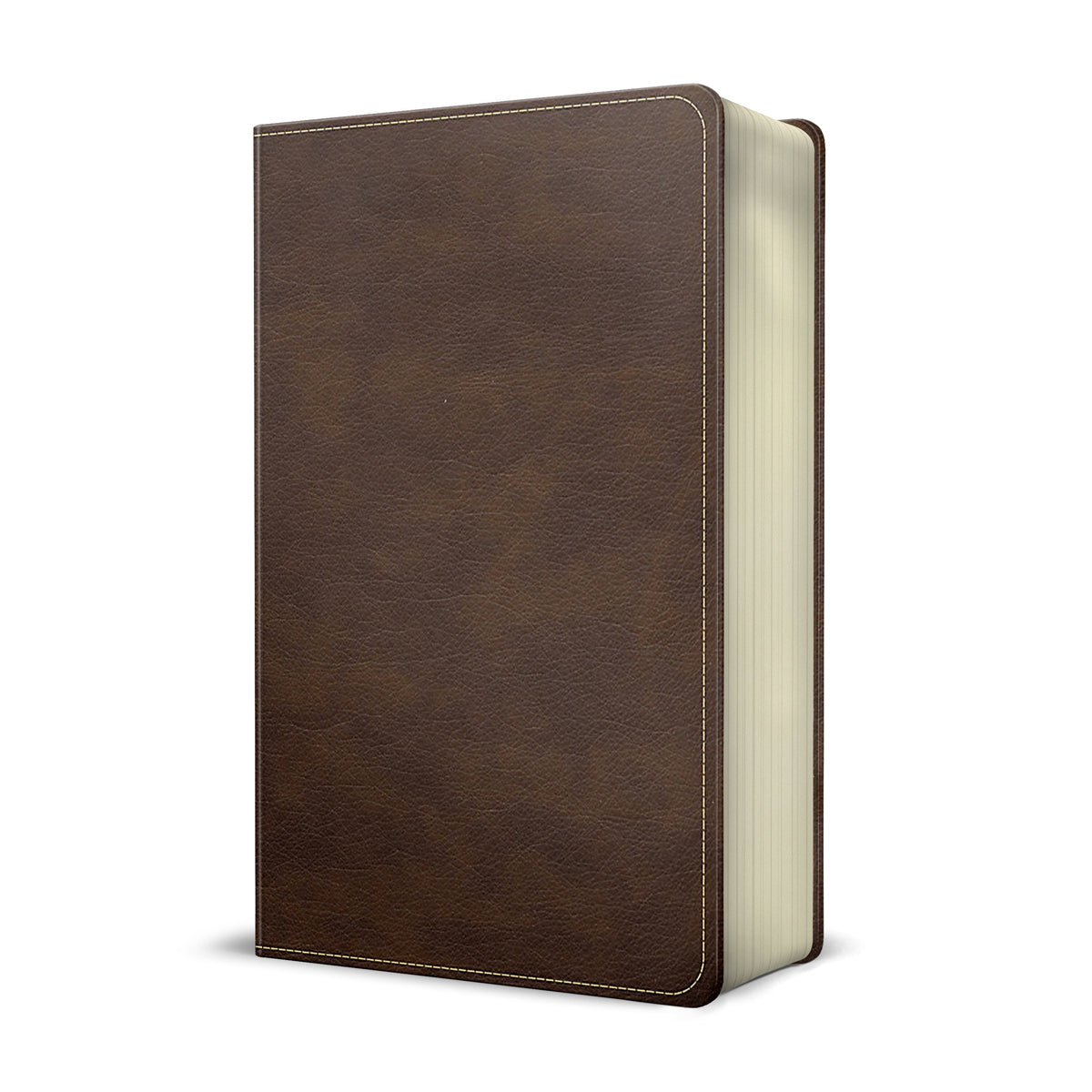 CSB Single-Column Compact Bible Brown (Imitation Leather)