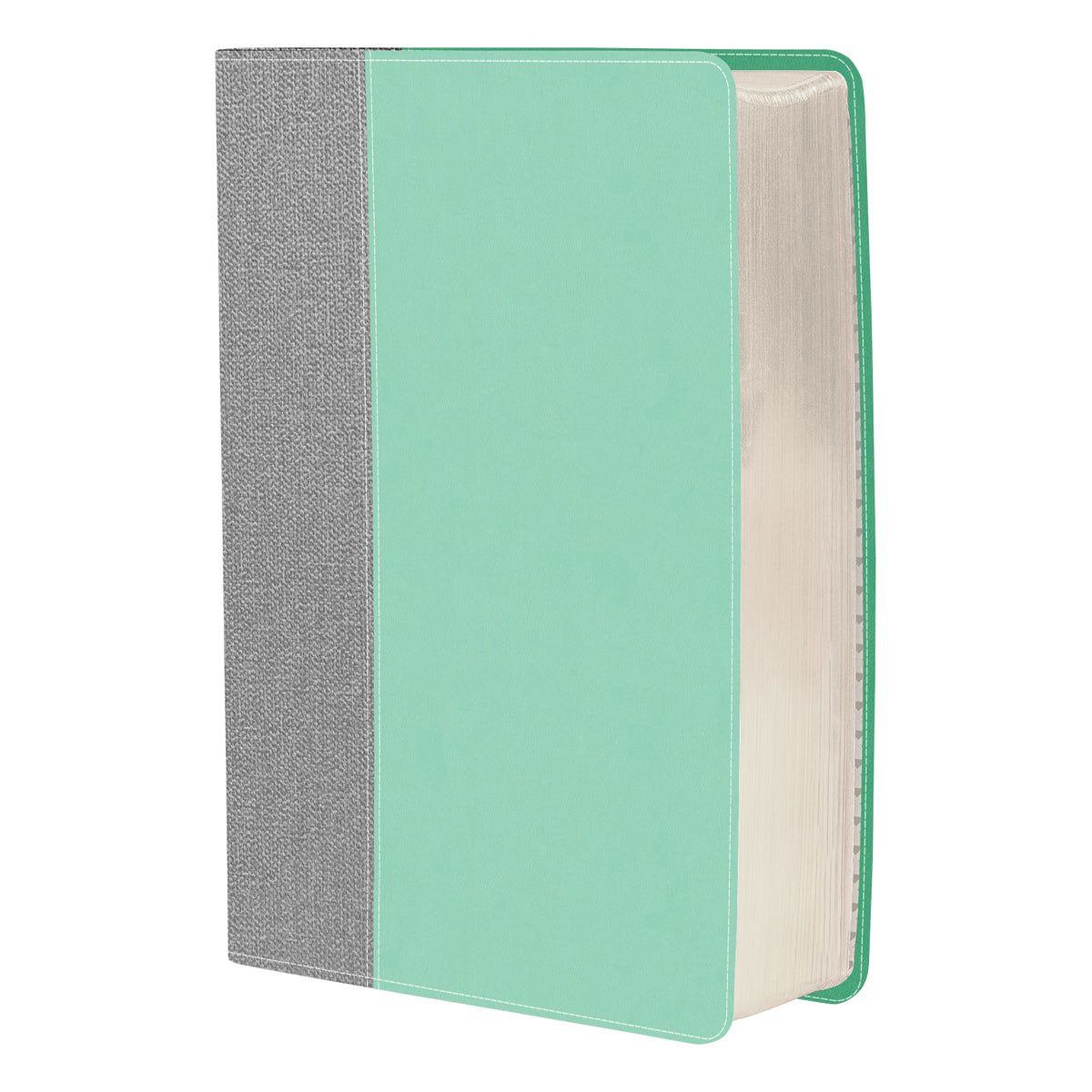 CSB Lifeway Women's Bible Gray / Mint (Imitation Leather)