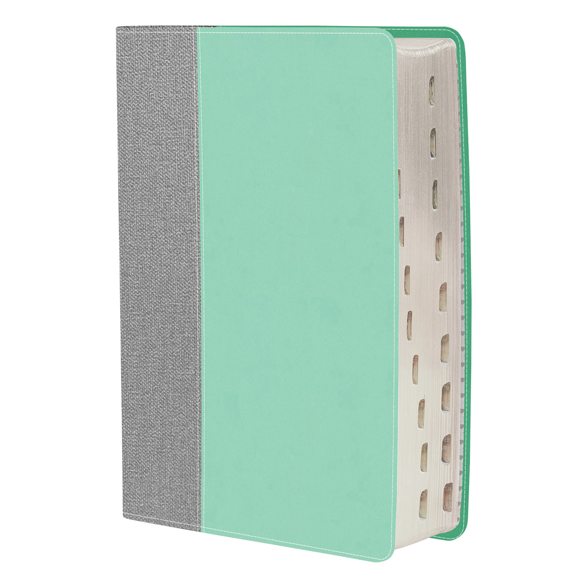 CSB Lifeway Women's Bible Indexed Gray / Mint (Imitation Leather)