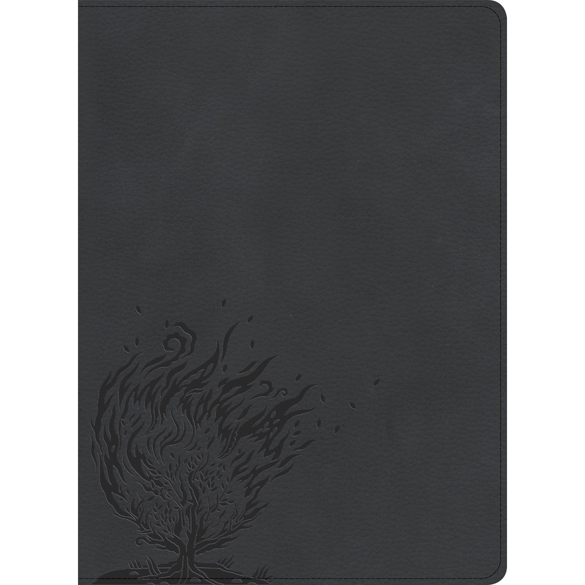 CSB Experiencing God Bible Charcoal (Imitation Leather)