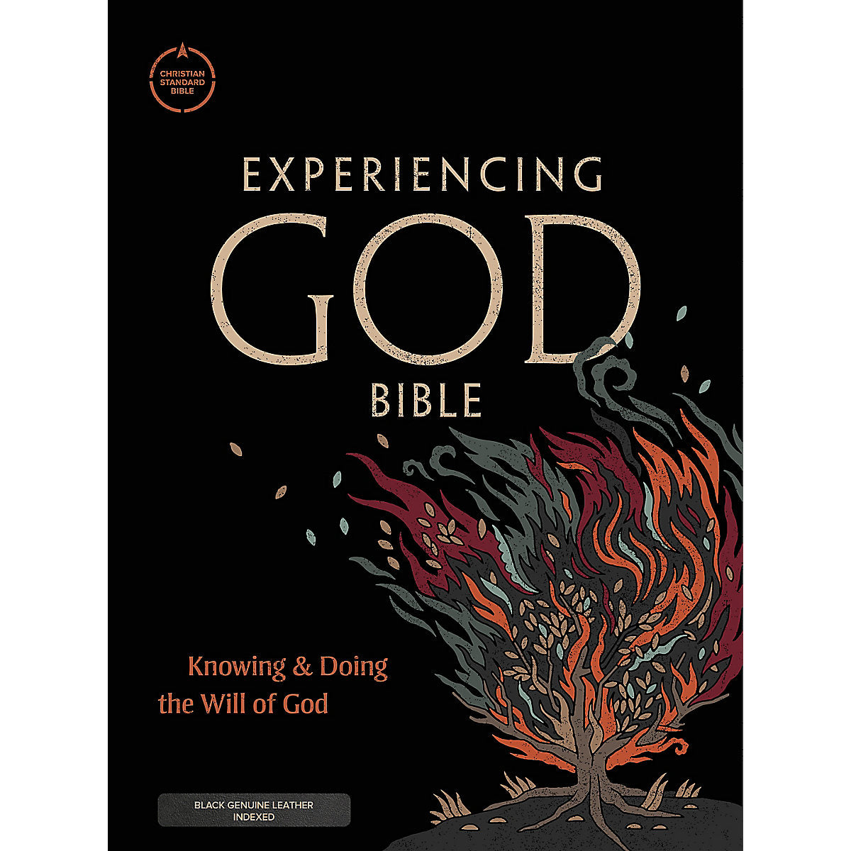 CSB Experiencing God Bible Indexed Black (Genuine Leather)