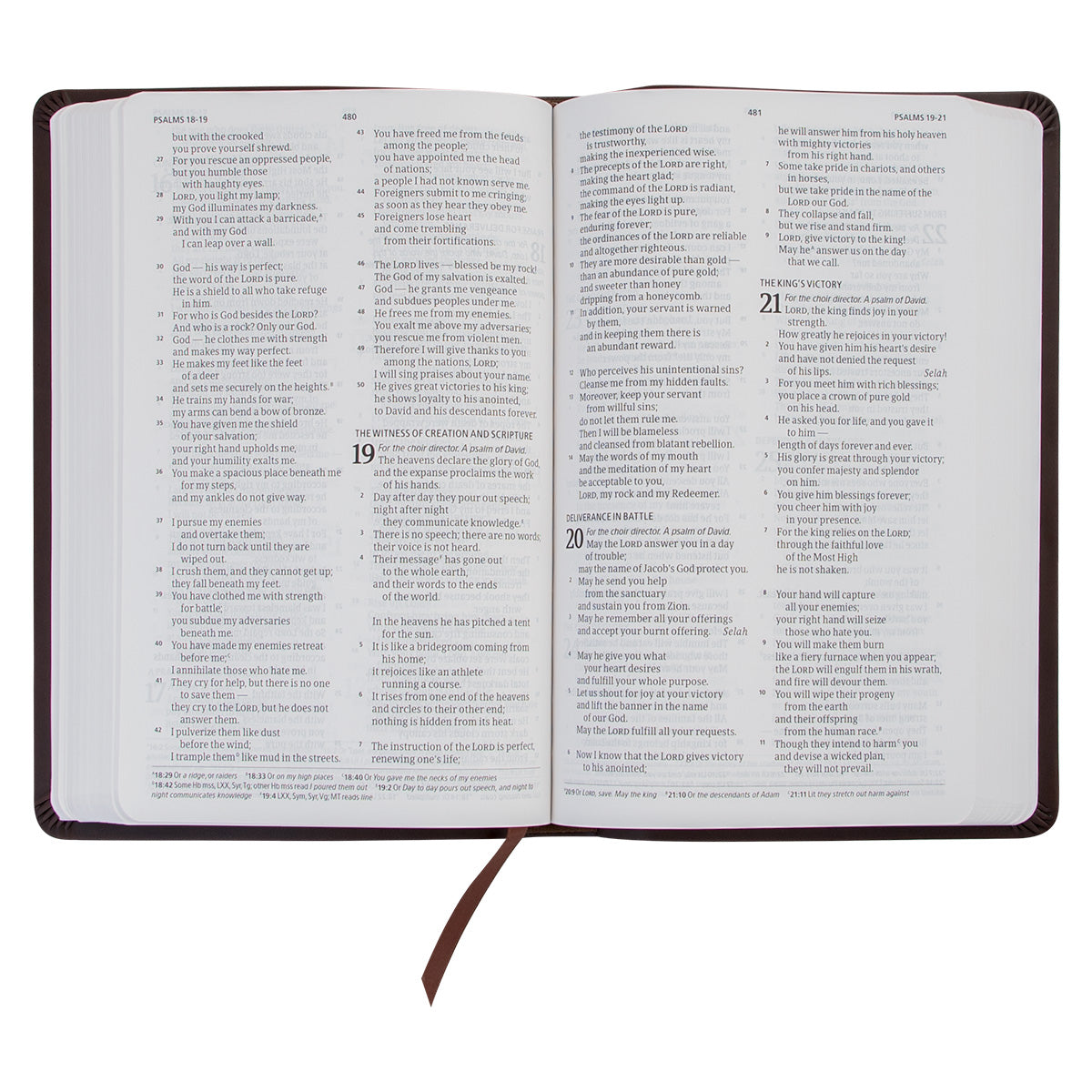 CSB Thinline Bible Value Edition Brown (Imitation Leather)