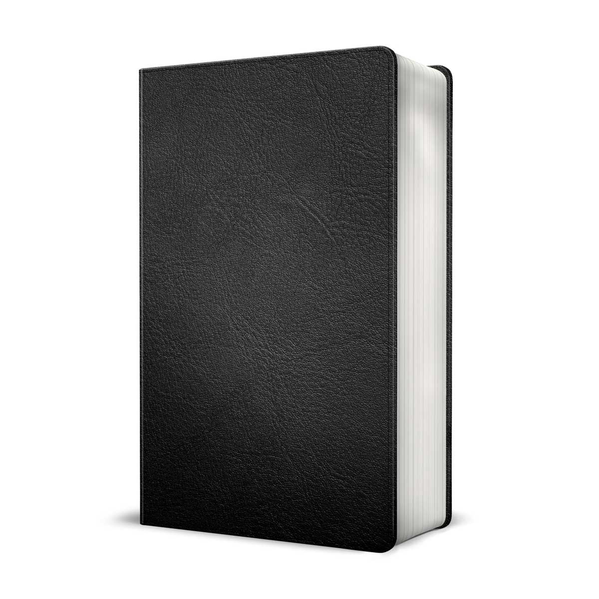 CSB Personal Size Reference Bible Maps Large Print Black (Imitation Leather)