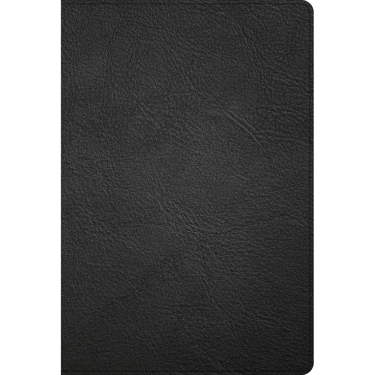 KJV Thinline Bible Large Print Black (Genuine Leather)