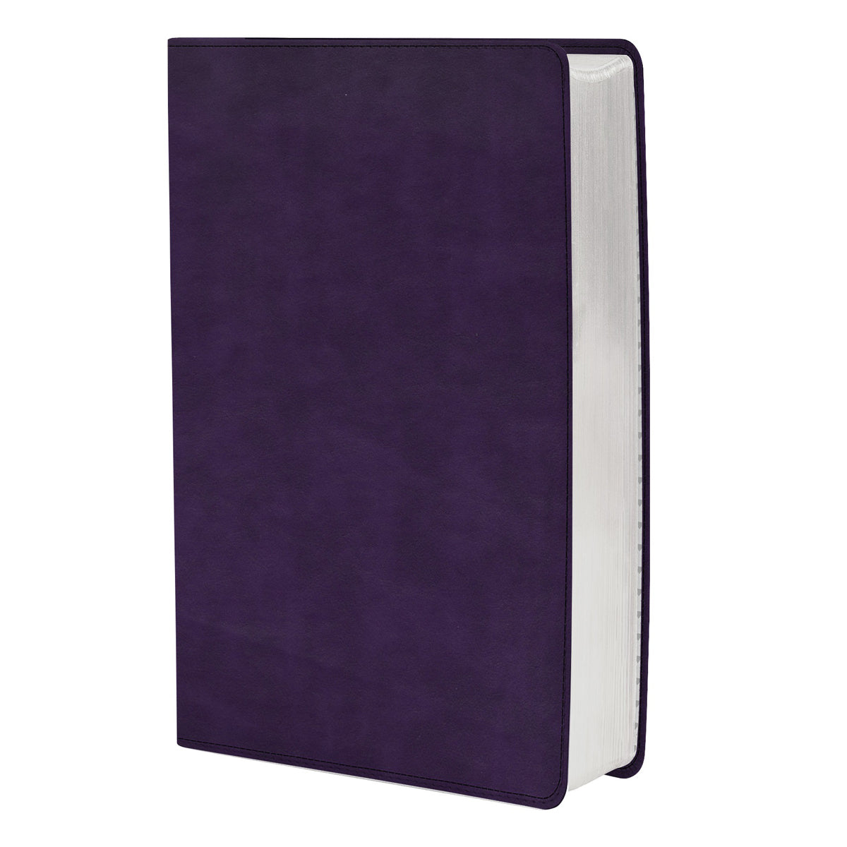 KJV Thinline Bible Large Print Plum (Imitation Leather)