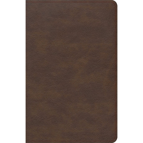 KJV Single-Column Compact Bible Brown (Imitation Leather)