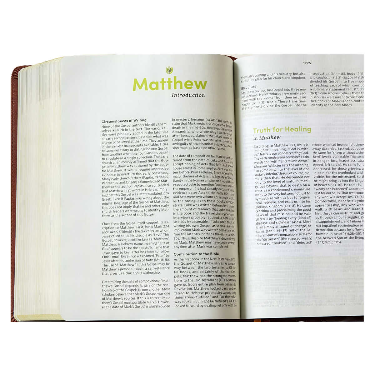 CSB Life Counsel Bible, Imitation Leather, Burnt Sienna
