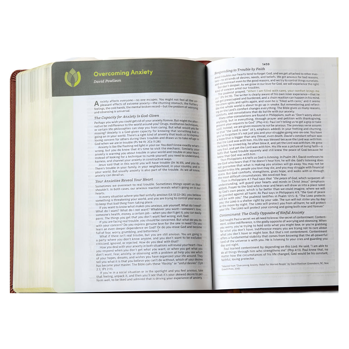 CSB Life Counsel Bible, Imitation Leather, Burnt Sienna