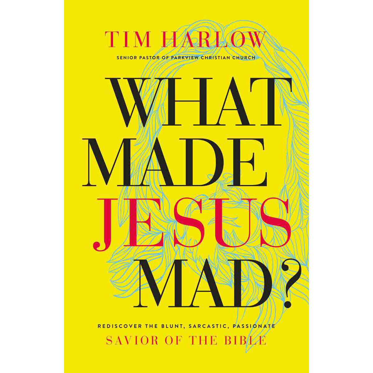 What Made Jesus Mad? (Paperback)