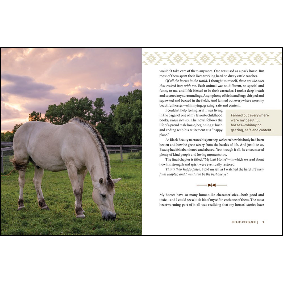 Fields Of Grace: Sharing Faith From The Horse Farm (Hardcover)